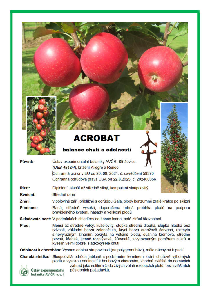 Excelentní výsledek: Certifikát odrůdové ochrany / Plant Variety Protection Certificate (PVP) – Ing. Radek Černý, Ph.D., ÚEB AV ČR