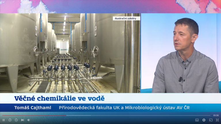 Prof. Tomas Cajthaml v České televizi, Studio 6: věčné chemikálie